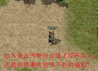 ���븴�Ŵ����л��������ʵ�������ܻ����Щ���벻���ĸ�����