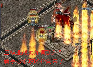 ��ְҵս�������������ֱض�����ָ������