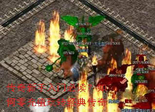 �����������űض���������ֵ��ת���䴫��