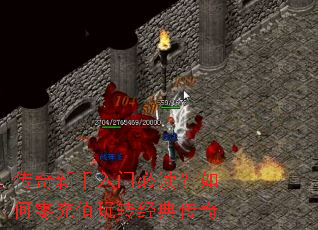 �����������űض���������ֵ��ת���䴫��
