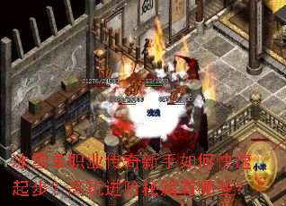 ��ѩ��ְҵ����������ο����𲽣���������ؼ�����Щ��
