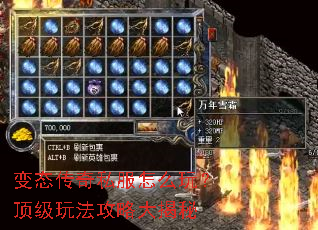 变态传奇私服怎么玩?顶级玩法攻略大揭秘 变态传奇私服怎么玩?顶级玩法攻略大揭秘