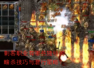 刺客职业有哪些独特的暗杀技巧与潜行策略? 刺客职业有哪些独特的暗杀技巧与潜行策略?