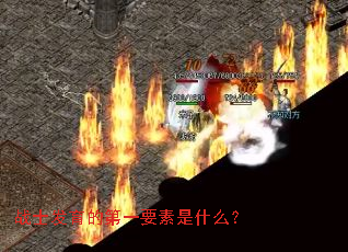 战士发育的第一要素是什么? 战士发育的第一要素是什么?