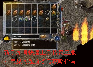 新手如何快速上手传奇三服?常见问题解答与攻略指南 新手如何快速上手传奇三服?常见问题解答与攻略指南