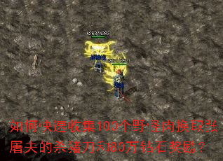 如何快速收集100个野怪肉换取张屠夫的杀猪刀和80万钻石奖励? 如何快速收集100个野怪肉换取张屠夫的杀猪刀和80万钻石奖励?