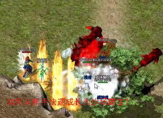 如何从新手快速成长为沙场霸主? 如何从新手快速成长为沙场霸主?