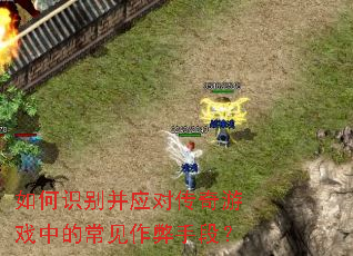 ���ʶ��Ӧ�Դ�����Ϸ�еĳ��������ֶΣ�