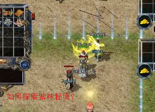 如何探索紫林秘境? 如何探索紫林秘境?