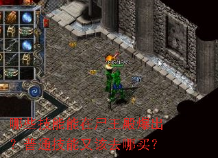 哪些技能能在尸王殿爆出?普通技能又该去哪买? 哪些技能能在尸王殿爆出?普通技能又该去哪买?
