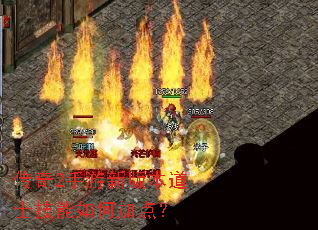 传奇2手游新版本道士技能如何加点? 传奇2手游新版本道士技能如何加点?