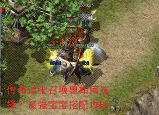 传奇道士召唤兽如何选择?最强宝宝搭配攻略 传奇道士召唤兽如何选择?最强宝宝搭配攻略