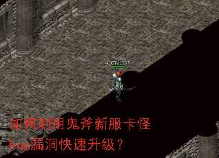 ������ù����·�����bug©������������