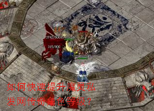 如何快速提升魔灵私发网传奇角色等级? 如何快速提升魔灵私发网传奇角色等级?