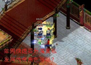 如何快速提升魔灵私发网传奇角色等级? 如何快速提升魔灵私发网传奇角色等级?
