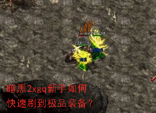 暗黑2xgq新手如何快速刷到极品装备? 暗黑2xgq新手如何快速刷到极品装备?