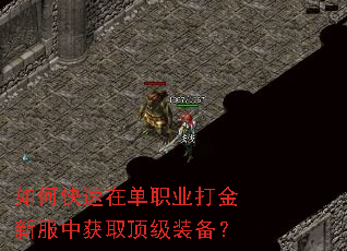 如何快速在单职业打金新服中获取顶级装备? 如何快速在单职业打金新服中获取顶级装备?
