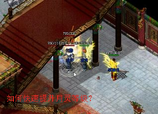 如何快速提升月灵等级? 如何快速提升月灵等级?