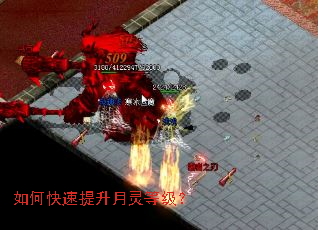 如何快速提升月灵等级? 如何快速提升月灵等级?