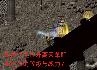 ��ο����������쵥ְҵ��ʧ�ĵȼ���ս����