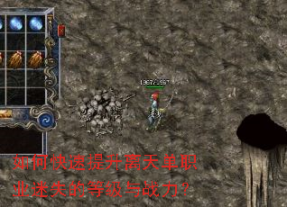 ��ο����������쵥ְҵ��ʧ�ĵȼ���ս����