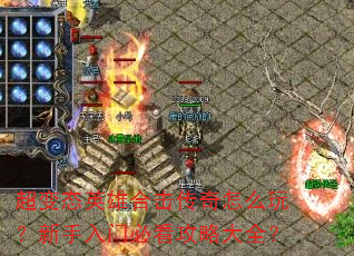 ����̬Ӣ�ۺϻ�������ô�棿�������űؿ����Դ�ȫ��