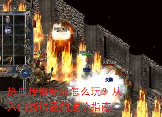 ��Ѫ�����·���ô�棿�����ŵ���ͨ�Ľ���ָ��