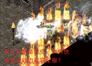君王觉醒单职业:如何快速提升战力称霸全服? 君王觉醒单职业:如何快速提升战力称霸全服?