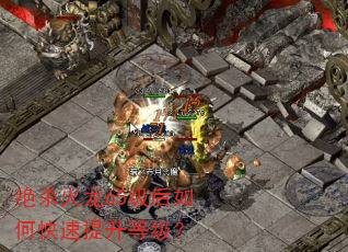 绝杀火龙65级后如何快速提升等级? 绝杀火龙65级后如何快速提升等级?