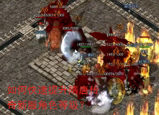 如何快速提升隋唐传奇新服角色等级? 如何快速提升隋唐传奇新服角色等级?