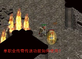��ְҵ���洫�͹������ʹ�ã�