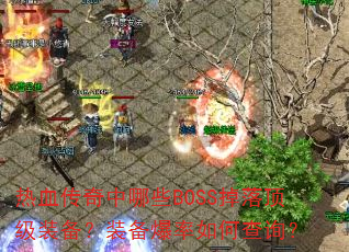 ��Ѫ��������ЩBOSS���䶥��װ����װ��������β�ѯ��