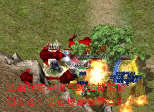 ��Ѫ��������ЩBOSS���䶥��װ����װ��������β�ѯ��