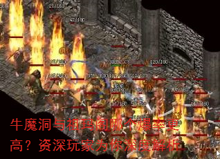 ţħ����������ĸ����ʸ��ߣ��������Ϊ����Ƚ���