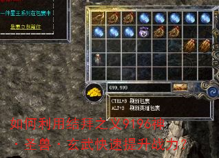 如何利用结拜之义9196神·圣兽·玄武快速提升战力? 如何利用结拜之义9196神·圣兽·玄武快速提升战力?