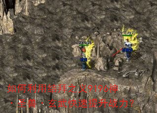 如何利用结拜之义9196神·圣兽·玄武快速提升战力? 如何利用结拜之义9196神·圣兽·玄武快速提升战力?