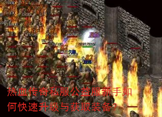 热血传奇私服公益服新手如何快速升级与获取装备? 热血传奇私服公益服新手如何快速升级与获取装备?