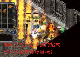 如何针对新老队员的招式差异选择竞技场目标? 如何针对新老队员的招式差异选择竞技场目标?