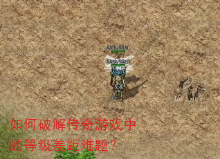 ����ƽ⴫����Ϸ�еĵȼ�������⣿
