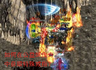 ����ڹ���SF�����л�ȡ�����ָ��