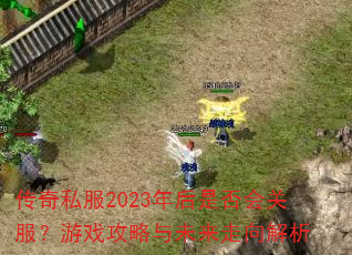 传奇私服2023年后是否会关服?游戏攻略与未来走向解析 传奇私服2023年后是否会关服?游戏攻略与未来走向解析