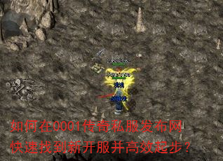 �����0001����˽�������������ҵ��¿�������Ч�𲽣�