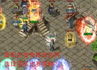 ��ְҵ������Ա���ѡ���Ŷӱ������ԣ�