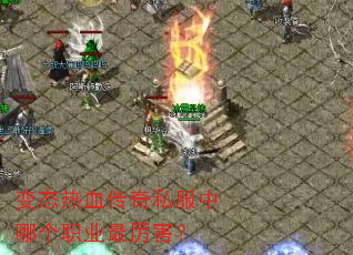 ��̬��Ѫ����˽�����ĸ�ְҵ��������