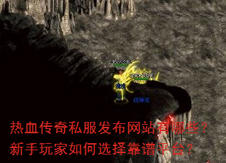 ��Ѫ����˽��������վ����Щ������������ѡ����ƽ̨��
