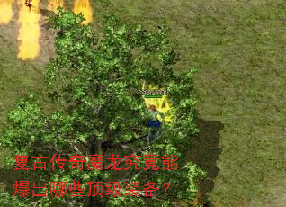 ���Ŵ���ħ�������ܱ�����Щ����װ����