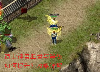 道士神兽血量与等级如何提升?攻略详解 道士神兽血量与等级如何提升?攻略详解