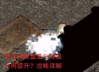 道士神兽血量与等级如何提升?攻略详解 道士神兽血量与等级如何提升?攻略详解