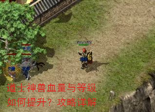 道士神兽血量与等级如何提升?攻略详解 道士神兽血量与等级如何提升?攻略详解