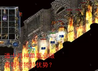 ��ʿ����ְҵ������Щ�������ƣ�